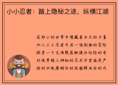 小小忍者：踏上隐秘之途，纵横江湖
